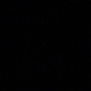 Meet your Posher, Josie